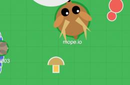 Играть «Море ИО» (Mope IO): Мопио на весь экран, Моп ИО без лагов Море ио играть онлайн нет животных